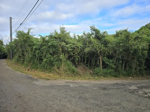 56 Montpellier QU, St. Croix, VI 00820