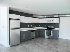 ECHO Lofts, True luxury Two Story Live/Work Townhouses