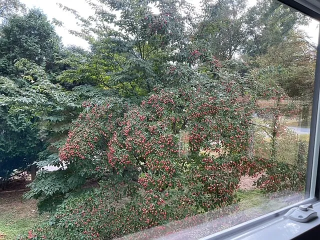 442 Surrey Ln #A — Photo 8