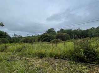 Basil Todd Road, Fleischmanns, NY 12430