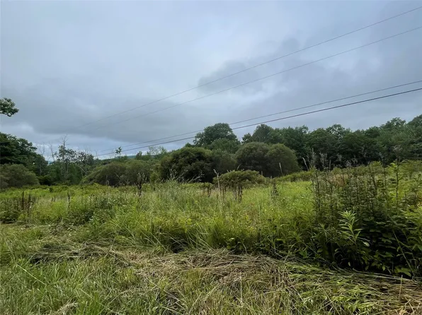 Basil Todd Road, Fleischmanns, NY 12430