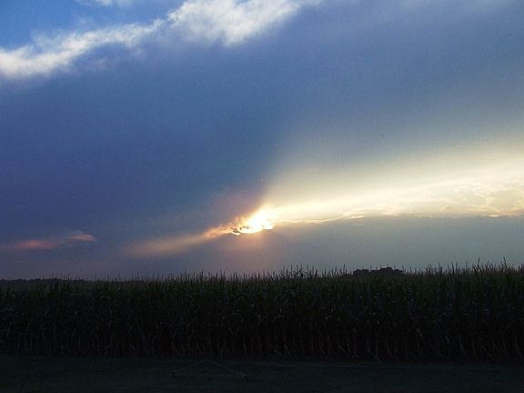 Sun set in back yard
