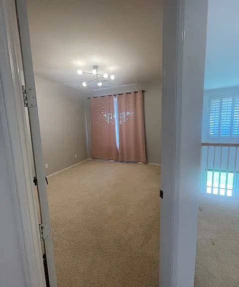 11674 Candy Rose Way — Photo 46