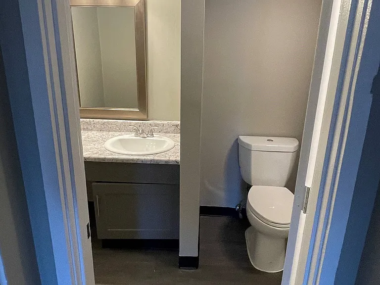 Upgraded Bathroom with gray cabinetry, luxury vinyl plank flooring, new lighting, mirror and brushed nickel fixtures