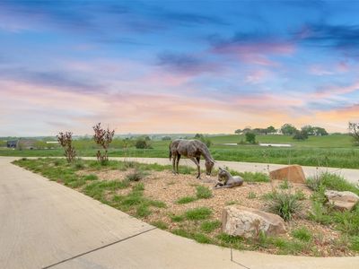 725 Vest Ln, Pilot Pt, TX, 76258