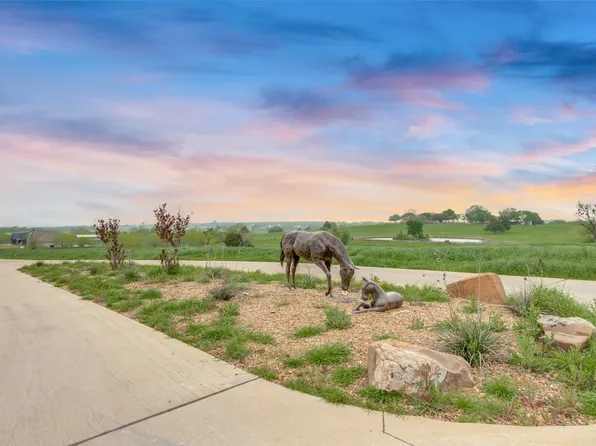 725 Vest Ln, Pilot Pt, TX 76258