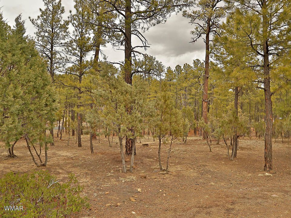 1st image of 1450 S Tia Cir