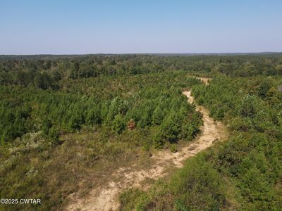 TRACT Five 6 Old Hwy #69, Sugar Tree, TN, 38380