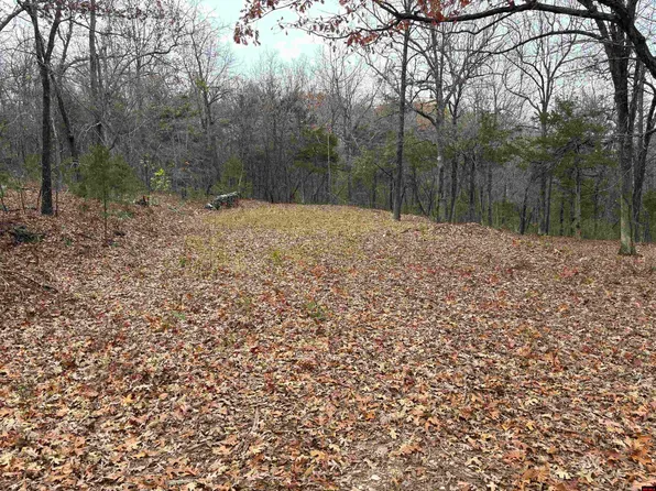 480 Mc #5039, Yellville, AR 72687
