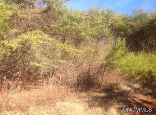 321 Bear Wallow Trl, Leicester, NC 28748