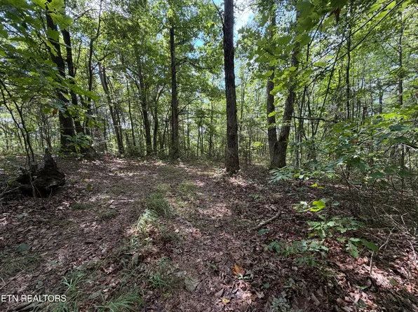 Long View Ln, Jamestown, TN 38556
