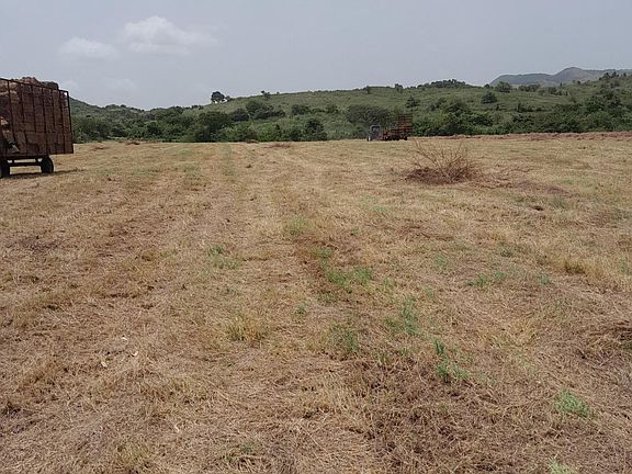 4th image of 545 Carretera Estatal