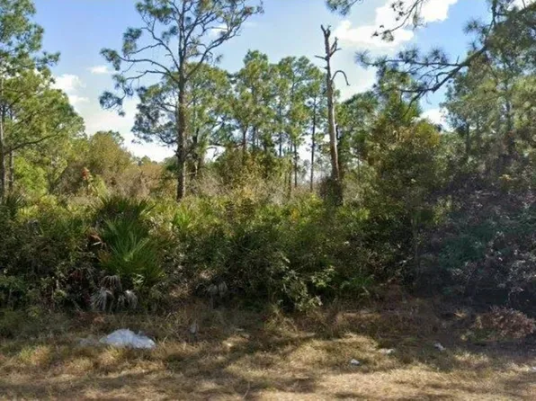 (undisclosed Address), Lehigh Acres, FL 33972