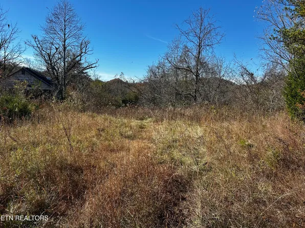 Shaddon Rd Lot 1, Tellico Plains, TN 37385