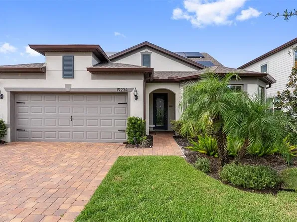 19234 MOSSY PINE DRIVE, TAMPA, FL 33647