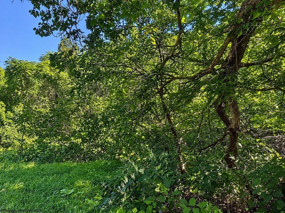 1st image of 681 Knottsville Rd
