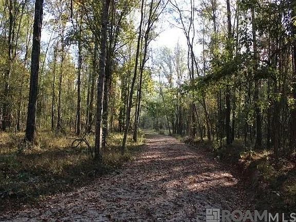 3rd image of 28545 Coker Vail Rd N