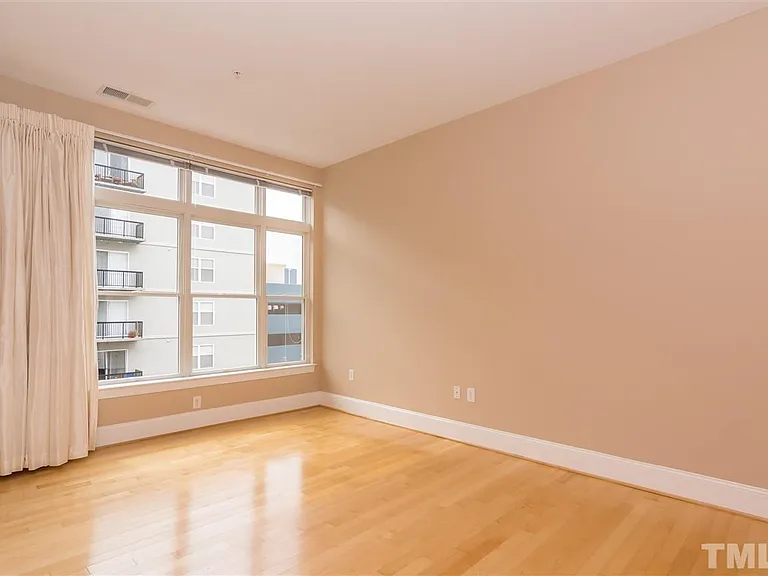 317 W Morgan St #308 — Photo 11