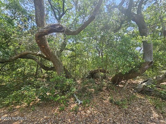 2nd image of 8 Elephants Foot Trail