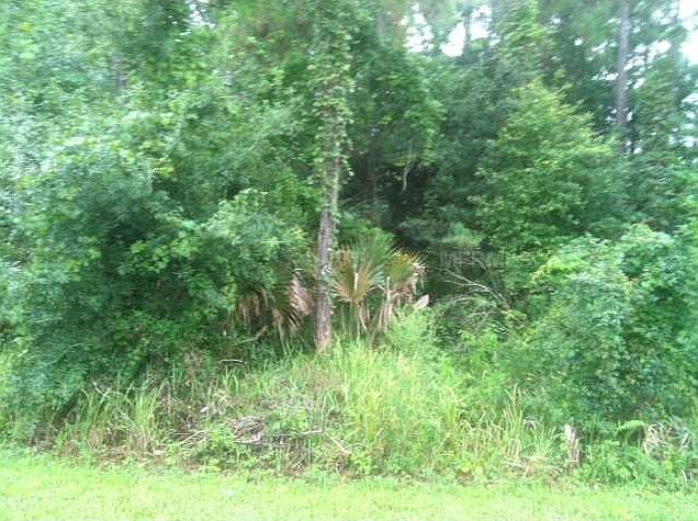 1st image of 1154 Macaw Ave