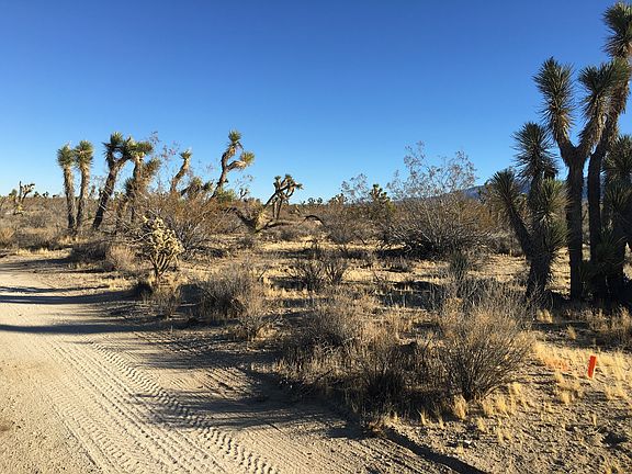 2nd image of 0 Ave W13