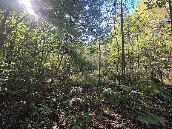 5th image of 12073 E Lucky Point Rd