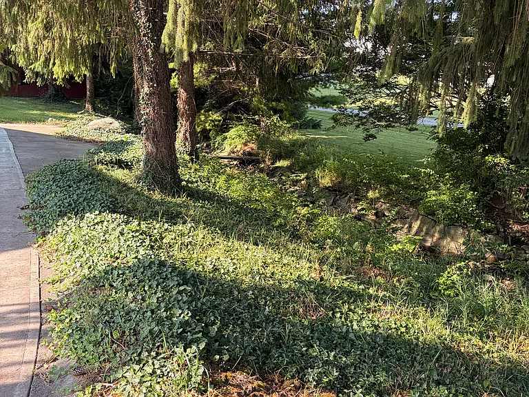 creek that runs beside house