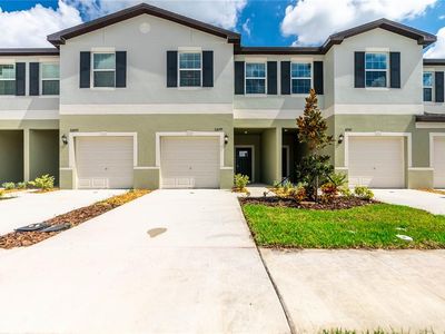32099 Powderpuff Mimosa Dr, San Antonio, FL, 33576