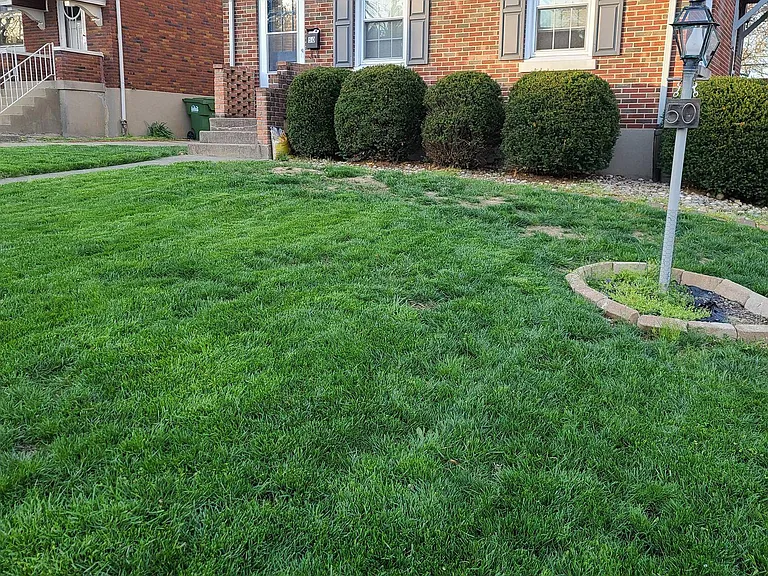 Front yard