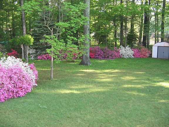 Fenced Backyard