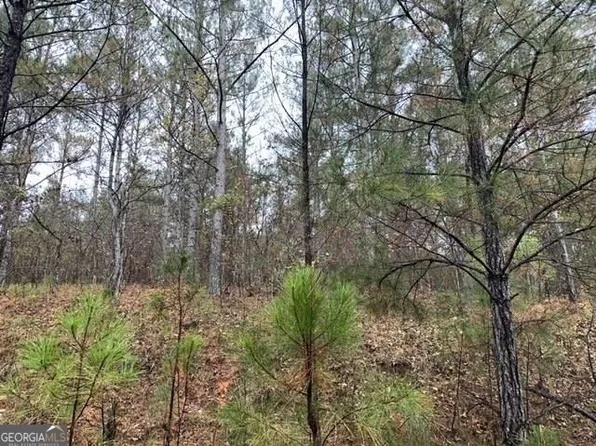 51 Summerleaf Pl, White Plains, GA 30678