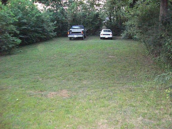 View of backyard from rear of house