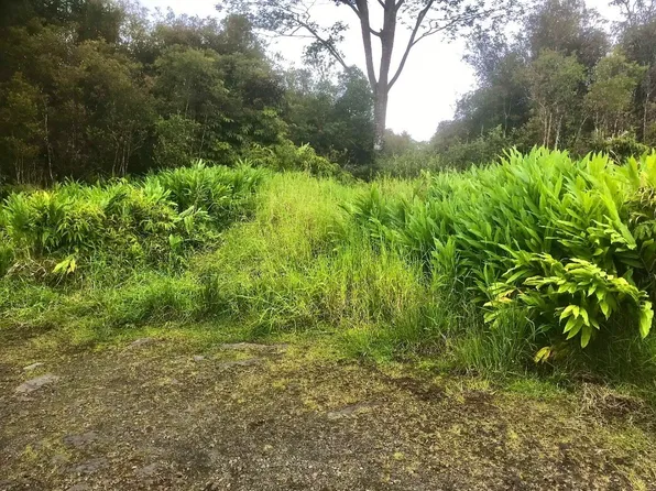 Road 13 Lot 852, Volcano, HI 96785