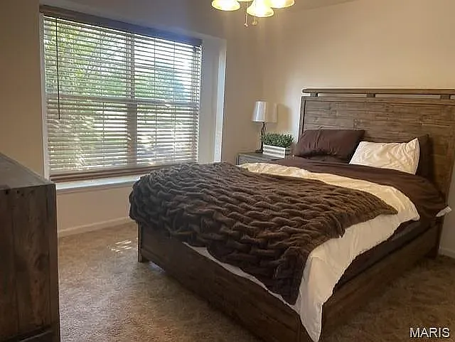 920 Carpathian Dr — Photo 6