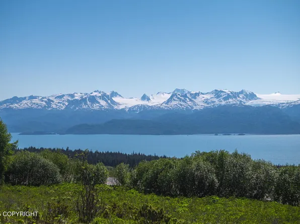 L3 Hutler Rd, Homer, AK 99603
