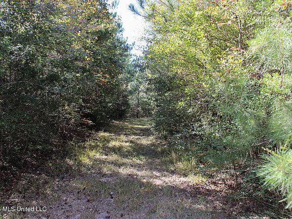 4th image of 2 Gibson Rd