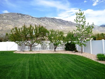 5th image of 2338 N Verona Ln