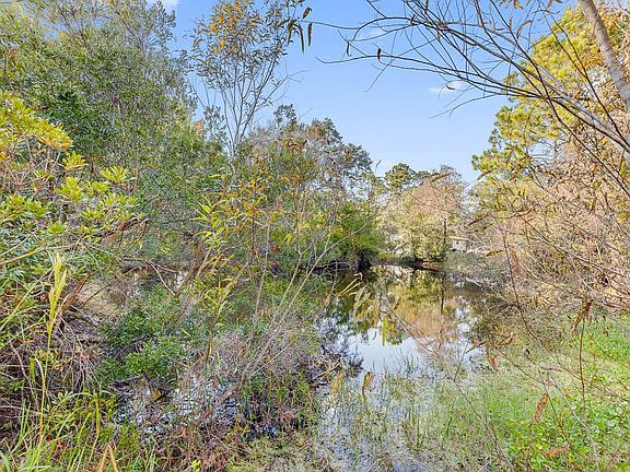 View of the Pond