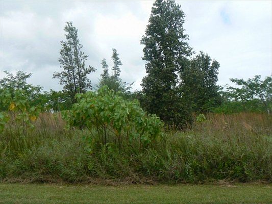 1st image of W Pohakupele Loop Lot 33