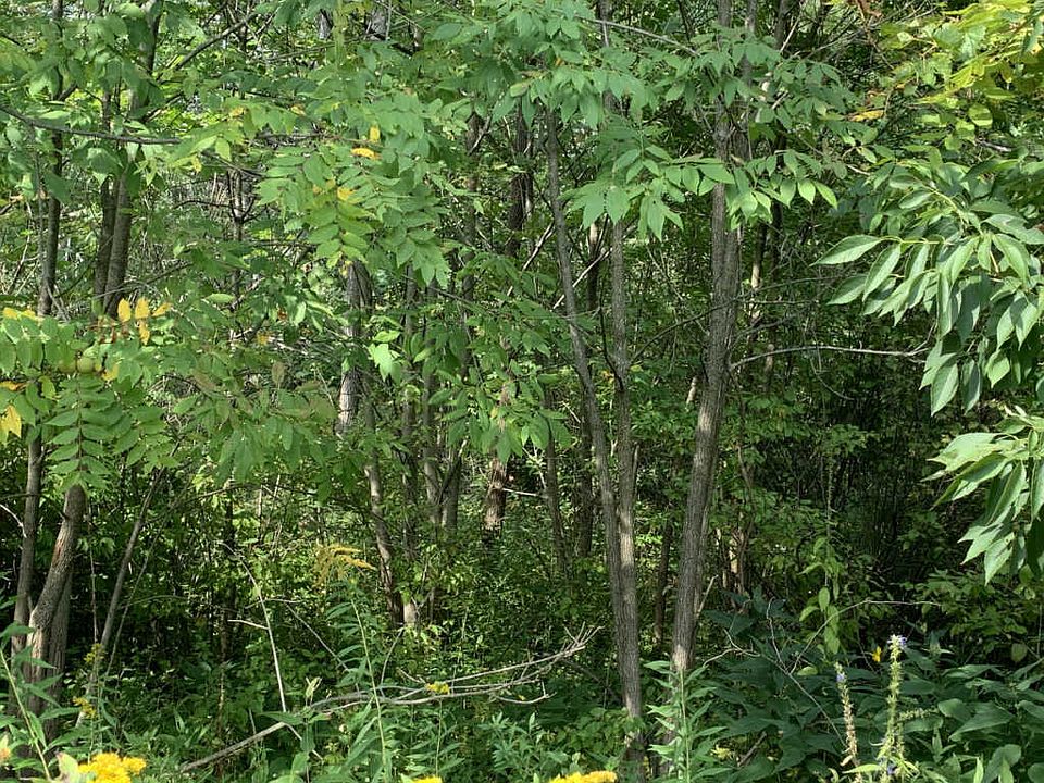 2nd image of 5720 W Timberlane