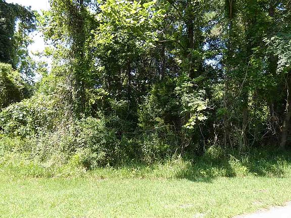 2nd image of Port Leon Dr