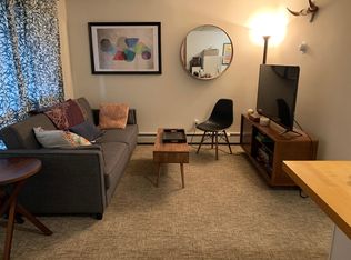 700 W Hopkins Ave #9, Aspen, CO 81611