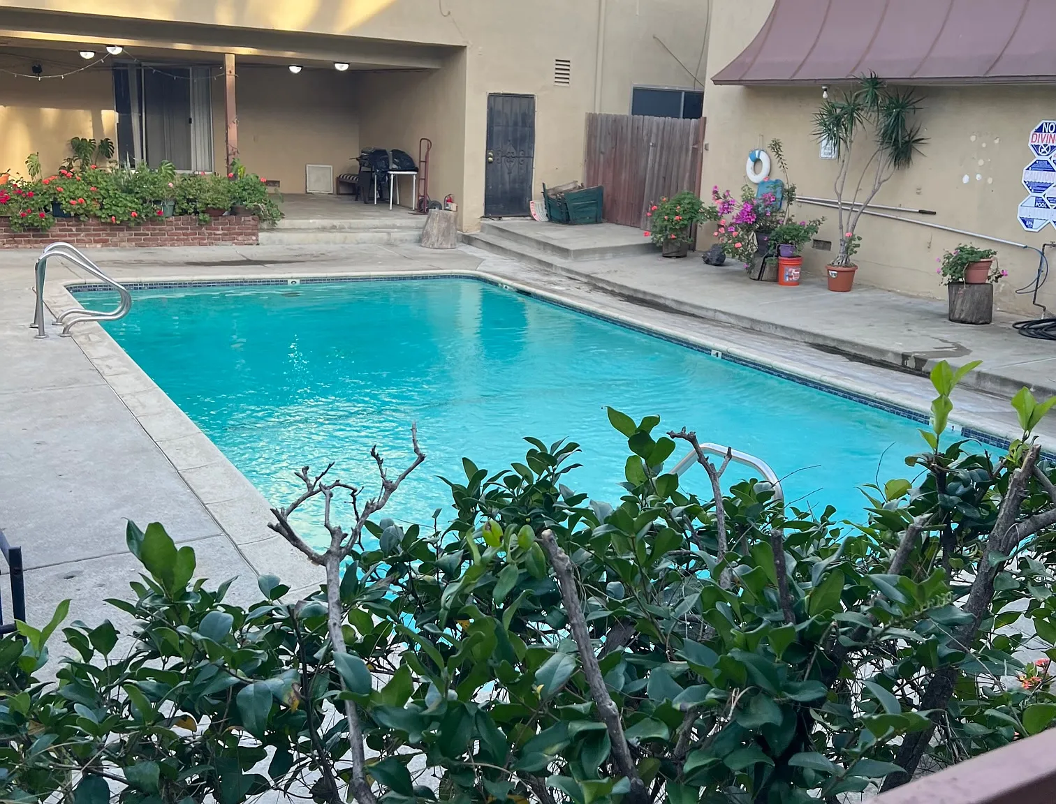 Parthenia Court Apartments — Photo 2