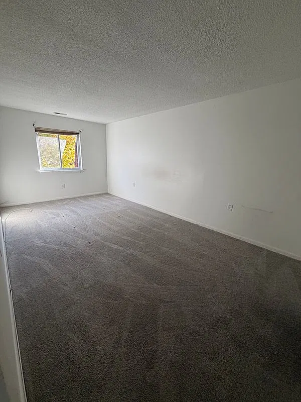 2 bed, 1.0 bath, 900 sqft, $1,350 — Photo 4