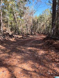 0 County Road 9 #1, West Blocton, AL, 35184