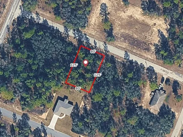 9720 N Calla Lily Dr Lot 3, Dunnellon, FL 34433