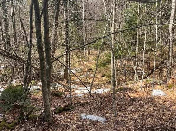 East Washington Road, Washington, NH 03280