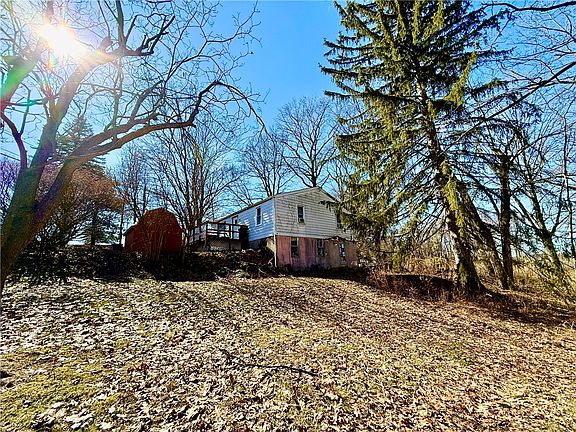 5th image of 701 Chicora Rd