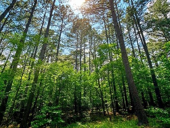 5th image of 26 Mangrove Rd Lot 26