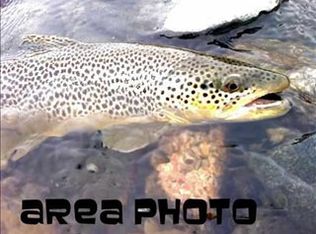 1 Ryan Rd, Whitehall, MT 59759